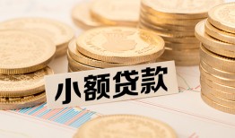 北京30哪里有小额贷款-北京30身份证贷款平台-北京30民间短借